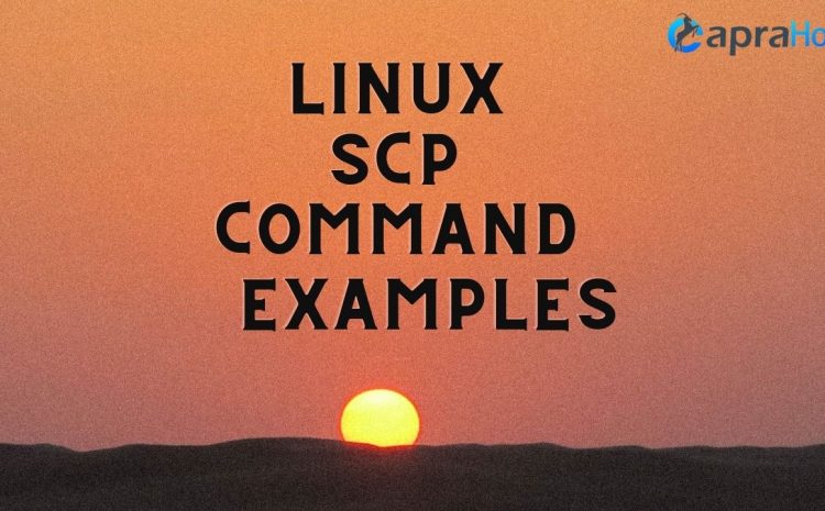 Linux SCP command examples