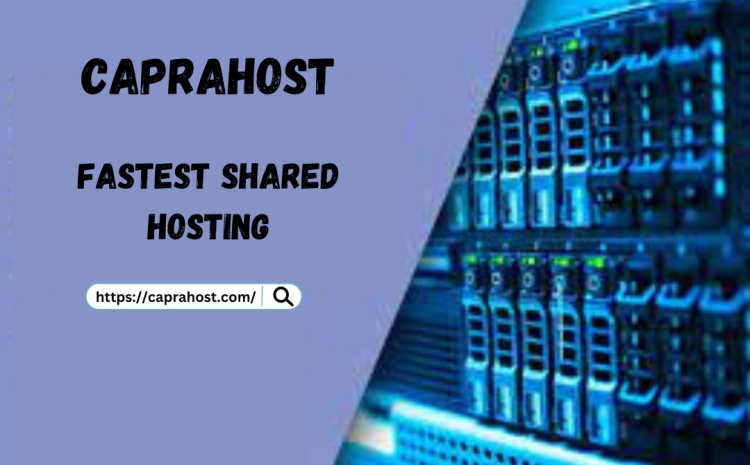 Fastest shared hosting
