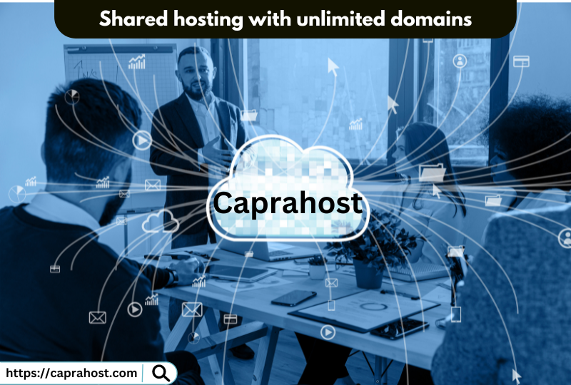 .Shared hosting with unlimited domains