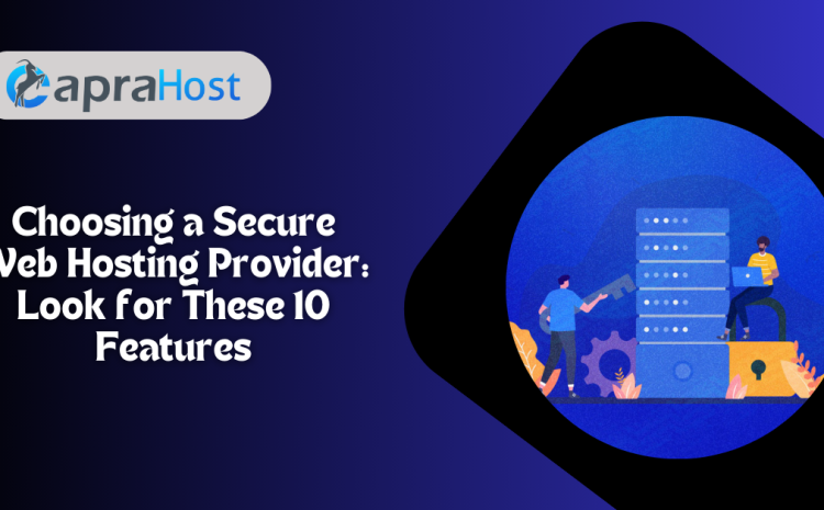 Choosing a Secure Web Hosting Provider